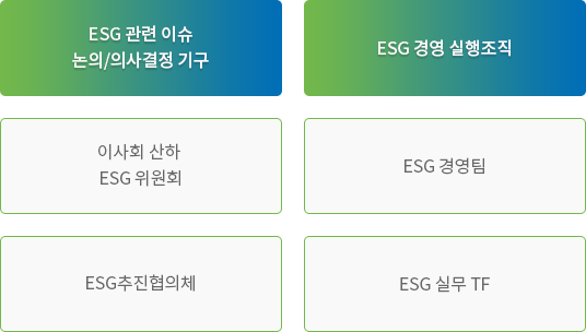 ESG 관련 이슈 논의/의사결정 기구 - 이사회 산하 ESG 위원회, ESG추진협의체 / ESG 경영 실행조직 - ESG 경영팀, ESG 실무 TF